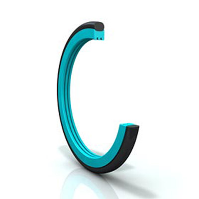 Turcon Roto Glyd Ring